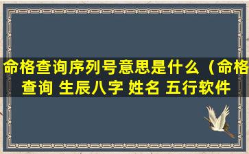 命格查询序列号意思是什么（命格查询 生辰八字 姓名 五行软件）